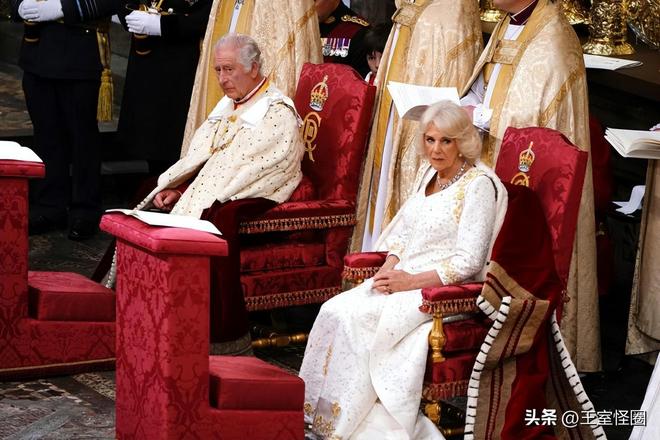 布与女王同置王室画廊想抹除痕迹难了瓦力棋牌试玩卡米拉加冕肖像与油画公(图14)